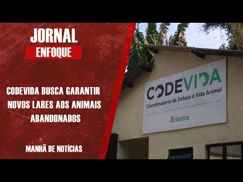 Coordenadora da Codevida explica as razões as ações da entidade