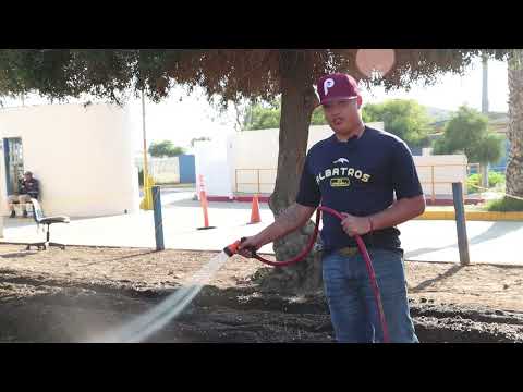 carrera de ingeniería en innovación agrícola