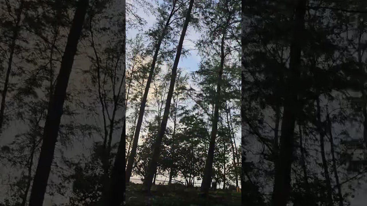 YouTube Short thumbnail