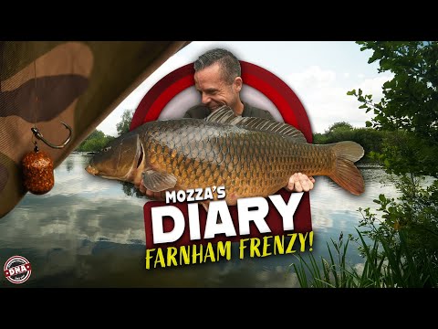 CARP GO CRAZY IN FARNHAM FRENZY! MOZZA'S DIARY #08! DNA BAITS | LEE 'MOZZA' MORRIS | CARP FISHING