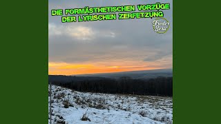Warum gerade du Music Video