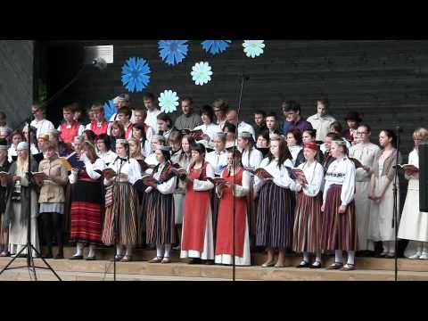 Ilus oled isamaa.  Järvamaa laulu- ja tantsupidu 2011