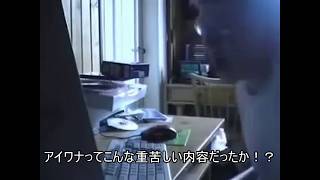 キーボードクラッシャーが鬱系アイワナのプレイ動画を見たようです