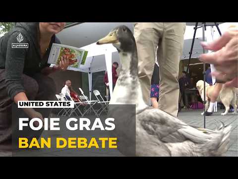Foie gras debate goes to the ballots: Voters to decide foie gras ban on November 3