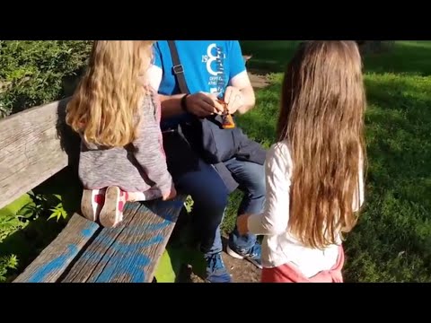 Dashboard Video : Familia domínico-alemana ASÍ SE COMPORTAN LOS PAPÁS ALEMANES CON SUS HIJOS + LAS NIÑAS CON EL PAPA EN EL PARQUE · Wizdeo Analytics