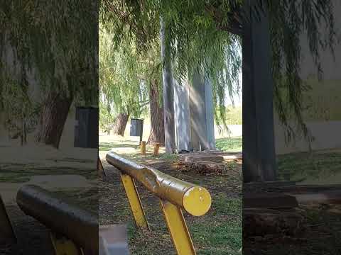 espera del domingo en Arocena Santa Fe Argentina