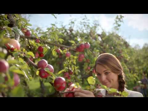 ICA reklamfilm 2018 v.45 - Våra egna varor