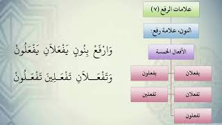 صورة شرح نظم الآجرومية مع التشجير //24//الشيخ محمد محمود الشنقيطي