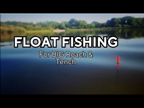 Float Fishing For BIG Roach