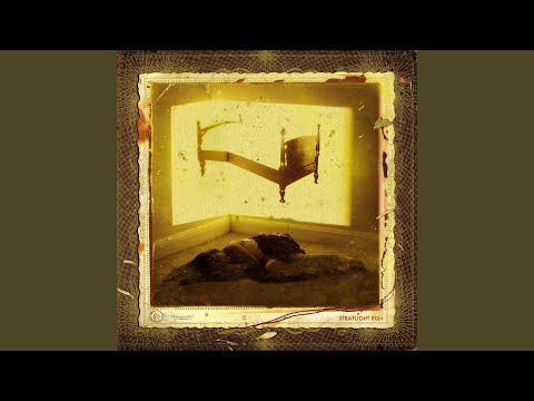 Tool Sheds And Hot Tubs - Straylight Run