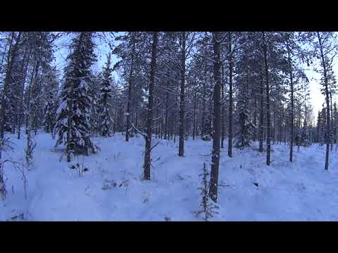 Tietokilpailu: mies vai moto