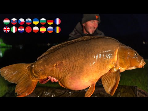 FEEDERMANIA-Hogyan fogjunk 20 kg felett Bleden? 2024 sept. How to catch carp over 20 kg in Bled? 