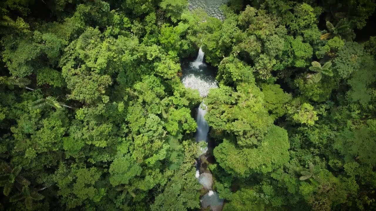 Urrao Paraíso Vivo - Click to play