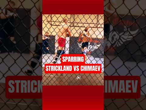 SPARRING de CHIMAEV VS STRICKLAND!!👀 #khamzatchimaev #seanstrickland #ufc #mma #shorts