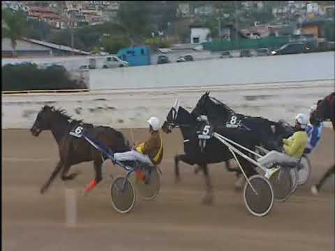 Trotto 26/11/2017 - 4ª corsa