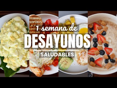 UNA SEMANA COMPLETA DE DESAYUNOS SALUDABLES | Michela Perleche