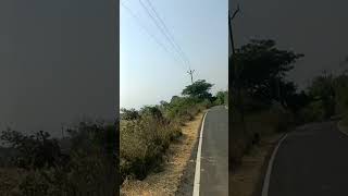  Agricultural Land for Sale in Mouda, Nagpur