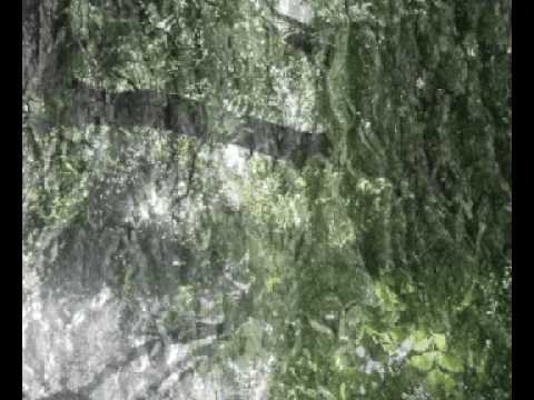 PSYCHOELECTRO - DJ LORO Tlaco Beach - Outwork Feat Mr Gee (dj loro remix)