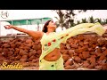 SMITA SANA COTTON TRANSPARENT SAREE LOOKS
