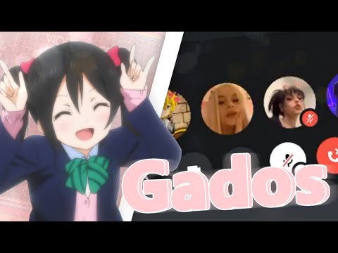 enganando gados no discord