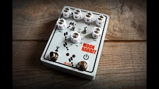 Video thumbnail for drolo - Moon Rabbit - Phaser with Tap Tempo and Envelope by drolofx