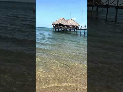 La Playa de Trujillo, Colón #honduras #playa #viral #viajes #