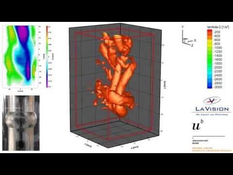 Tomographic PIV: Flow in a carotid artery model (Univ. Bern + LaVision)