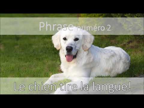 Vidéo 4