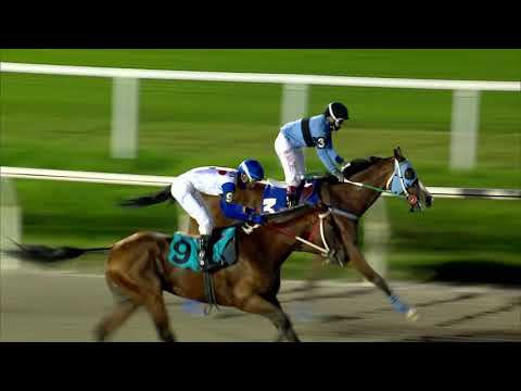 210131 c09 OPEN-AIR (BRZ)