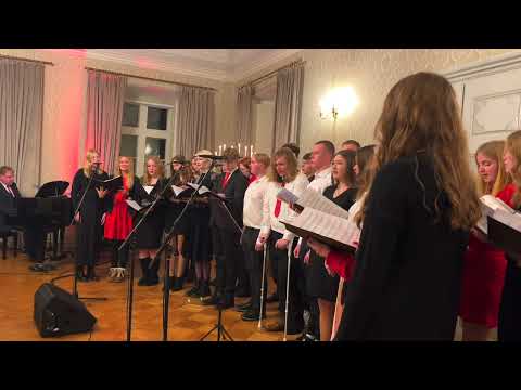 HIIGi jõulukontsert Suuremõisa lossis (mõned hetked)