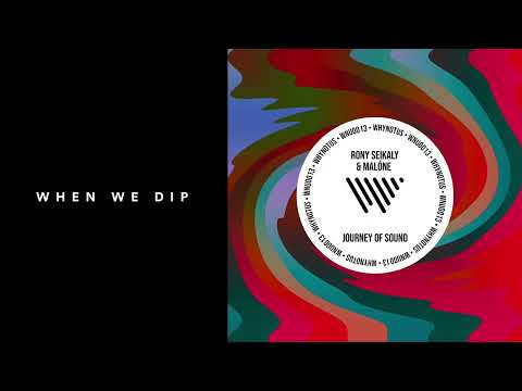 Premiere: Rony Seikaly, Malóne - Journey Of Sound [WHYNOTUS]
