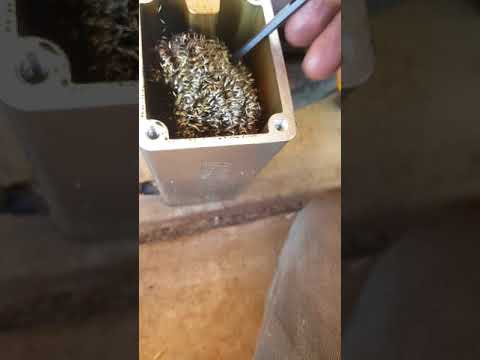 coco customs presents inside a greddy catch can..