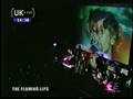 Flaming Lips Slow Nerve Action