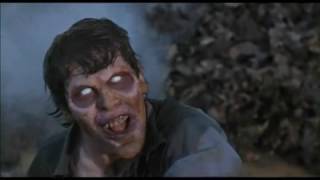 Visceral Holocaust (lyrics, better video, 26.2MB)