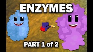 ENZYMES (1/2) - Definition/Cofactors/Models