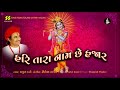 હરિ તારા નામ છે હજાર Hari Tara Naam Chhe Hazar Singer Praful Dave Mu