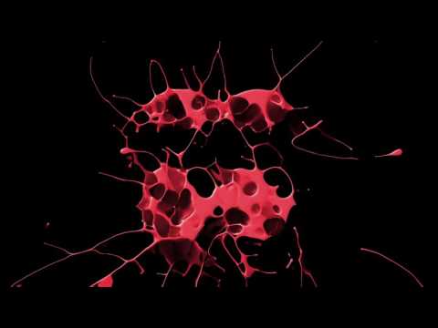 Teo Moss Feat. Daniel Shems & Phylly -  What U Like (The Bangers Remix)