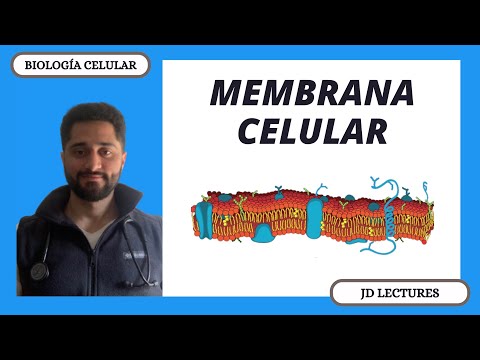 MEMBRANA CELULAR | BIOLOGÍA CELULAR