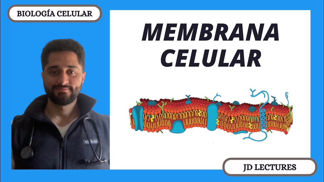 MEMBRANA CELULAR | BIOLOGÍA CELULAR