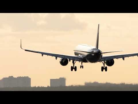 Madwave vs. Chris SX - Arrival (Music Video) Phoenix Recordings