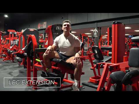 Leg Extension - Exercise Tutorial