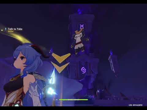 Shadowy Husk (NEW MOBS) & Tower of Void Cleansing | Genshin Impact