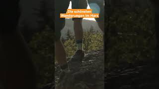 Wandern im Harz🥾 Wir zeigen Euch die besten Routen🏞️