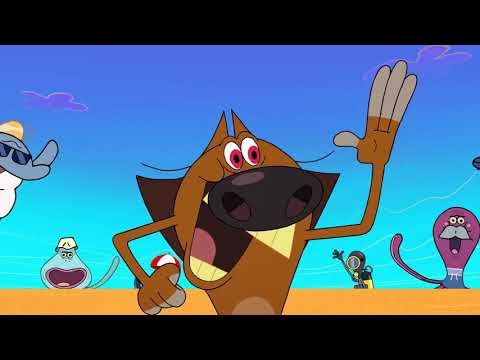 Zig & Sharko - PERSONAL EFFORT (S02)  | Double episode _ Full Episode in HD