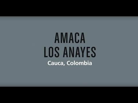 THE BARN Coffee Roasters Berlin - Amaca Los Anayes