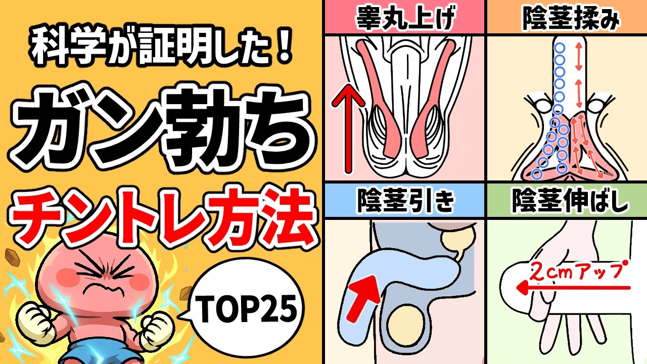 【科学的に検証】正しくボッキ力を高める方法