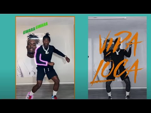Tuto danse Vida Loca/Favela