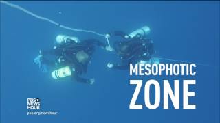 Diving into the deep ocean to find hope for threatened coral reefs