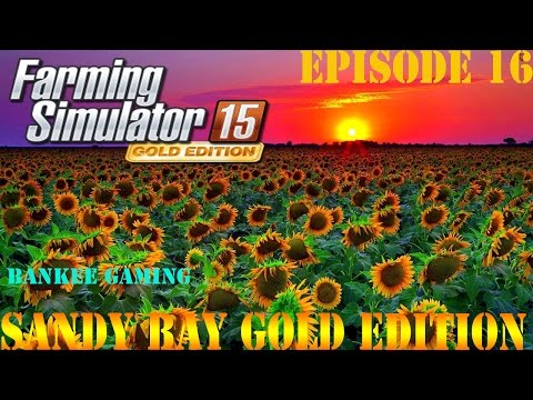 Farming Simulator 15 Sandy Bay Gold Edition Ep. 16 Sunflower harvest