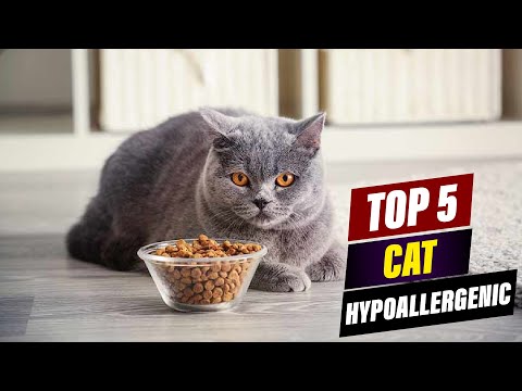 Best Hypoallergenic Cat Foods: A Comprehensive Guide